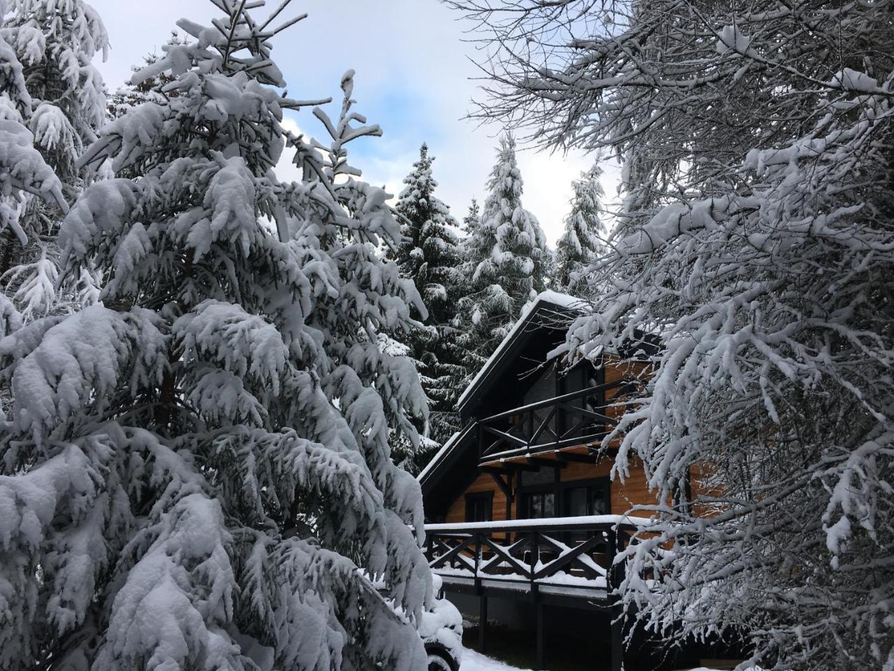 Chalet Rackova Dolina 프리빌리나 외부 사진