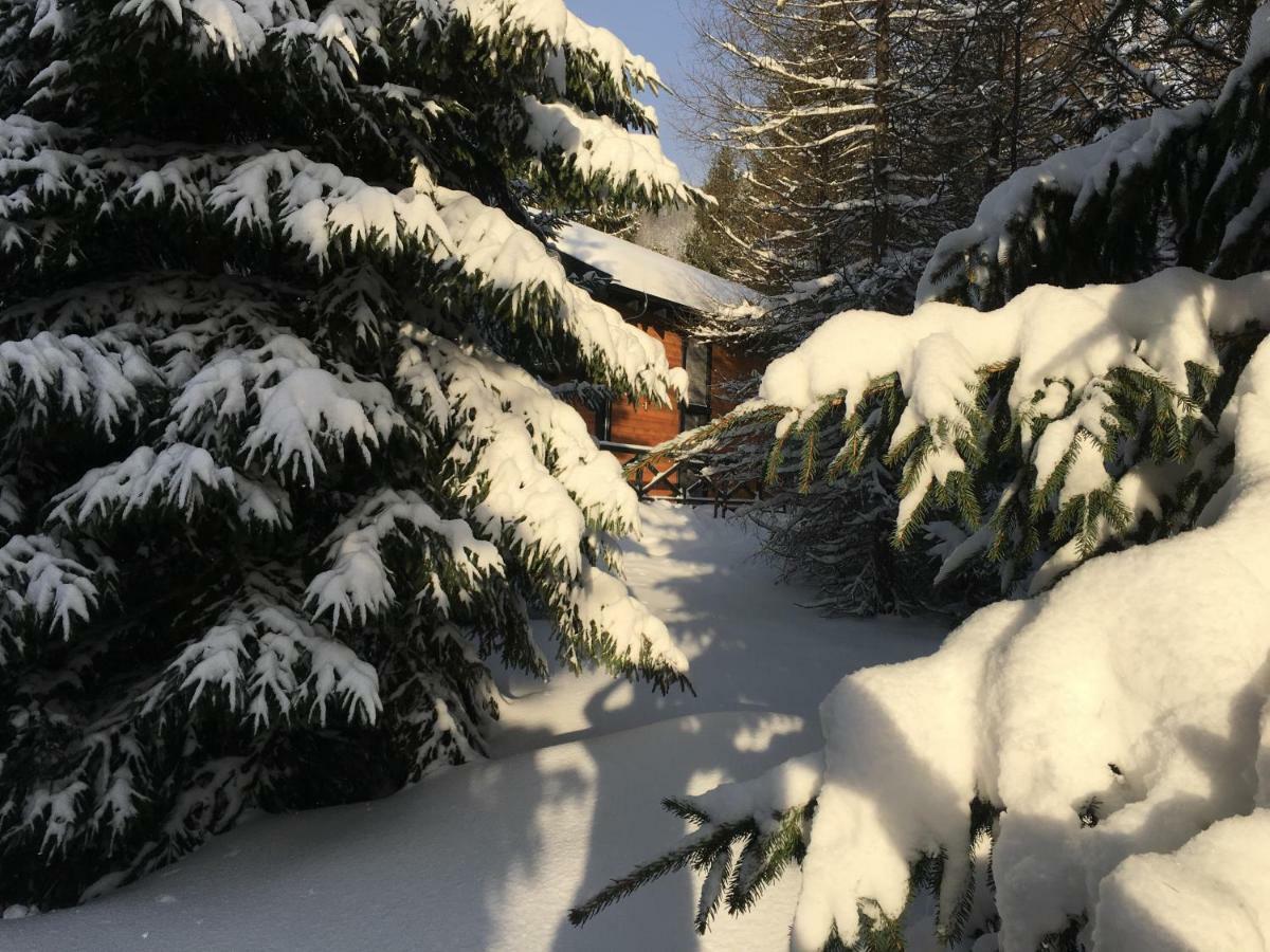 Chalet Rackova Dolina 프리빌리나 외부 사진